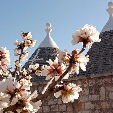 Il Mandorlo Tatil Evi