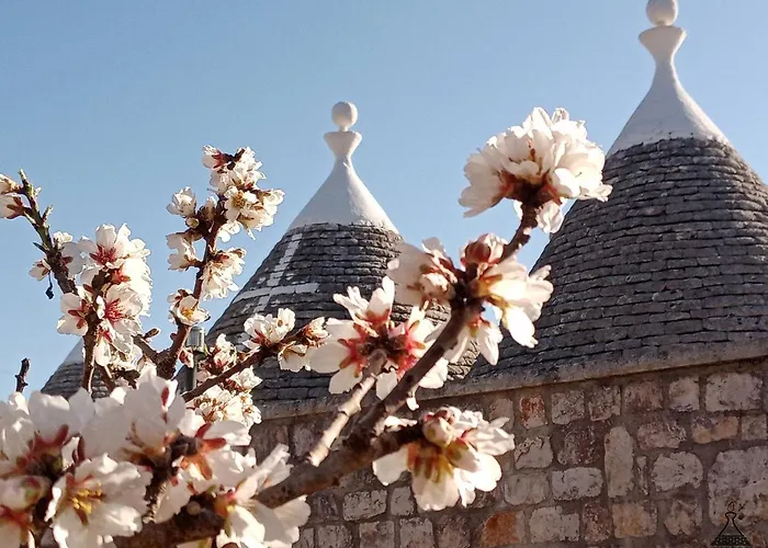 Il Mandorlo Casa de Férias